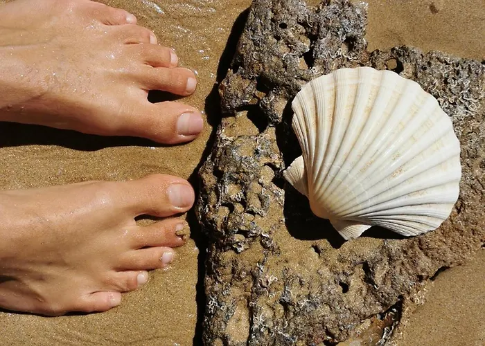 Vida à Portuguesa, Charming Algarve , In The Cultural&historical Center Portimão
