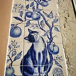 Vida A Portuguesa, Charming 