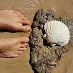 Vida A Portuguesa, Charming 