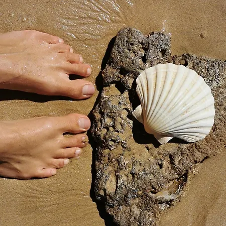 Vida A Portuguesa, Charming 